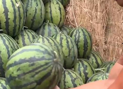 吃瓜系,吃瓜群众眼中的明星生活  第2张