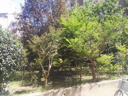 绅士吃瓜花园密码,解码神秘密码,探寻瓜界奥秘 第1张 绅士吃瓜花园密码,解码神秘密码,探寻瓜界奥秘 第1张