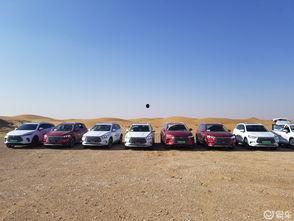 安徽阜南比亚迪吃瓜,揭秘背后真相与争议