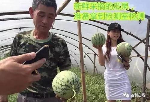 吃瓜直播间吃瓜,一场全民参与的吃瓜盛宴  第2张