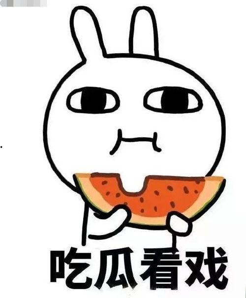 极致吃瓜完结,揭秘娱乐圈幕后真相，带你领略一场视觉盛宴  第2张