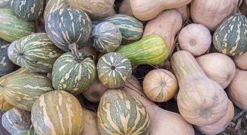 四川吃瓜女,麻辣鲜香中的生活百态  第3张