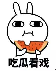 吃瓜救我,共渡难关  第1张