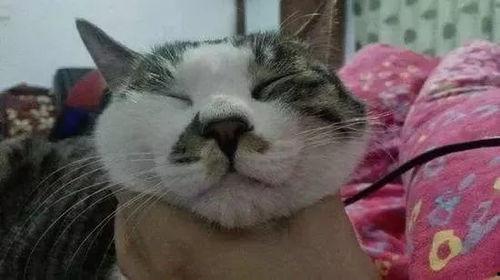 吃瓜救我,共渡难关  第2张