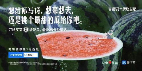 吃瓜组文案,吃瓜组带你领略幕后风云