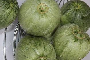 孕妇能否吃胜瓜,胜瓜的适宜与禁忌 第3张 孕妇能否吃胜瓜,胜瓜的适宜与禁忌 第3张