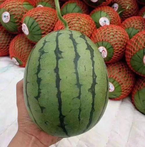 美困吃瓜,揭秘娱乐圈背后的那些事儿 第2张 美困吃瓜,揭秘娱乐圈背后的那些事儿 第2张