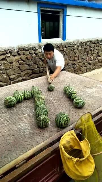 下沉广场打野吃瓜,揭秘街头文化新潮流  第3张
