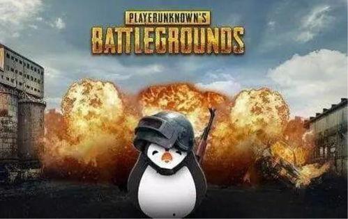 瓜仔瞬间吃鸡,揭秘游戏高手瞬间制胜秘诀 第2张 瓜仔瞬间吃鸡,揭秘游戏高手瞬间制胜秘诀 第2张