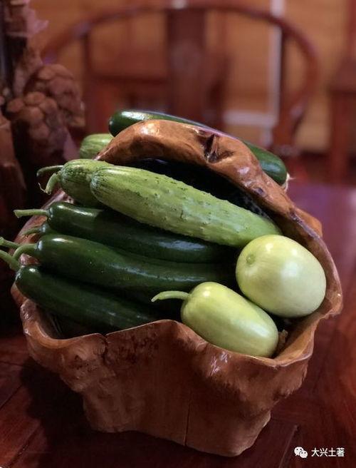 揭阳网红吃瓜,揭秘网络热点的背后真相  第3张