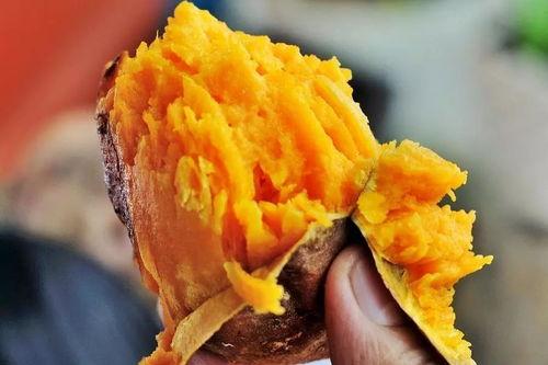 黄方瓜怎么吃,解锁美味新体验