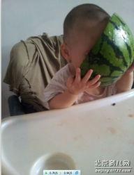 周渝民吃瓜,娱乐圈的“瓜田”又添新料 第3张 周渝民吃瓜,娱乐圈的“瓜田”又添新料 第3张