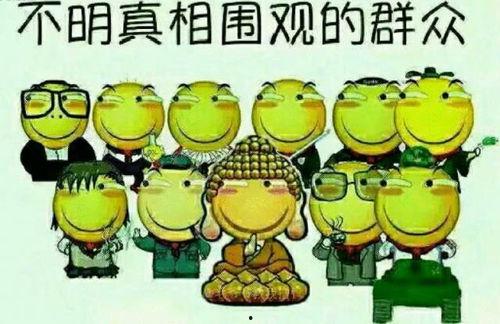 吃瓜群众派小星,揭秘吃瓜群众背后的故事 第2张 吃瓜群众派小星,揭秘吃瓜群众背后的故事 第2张