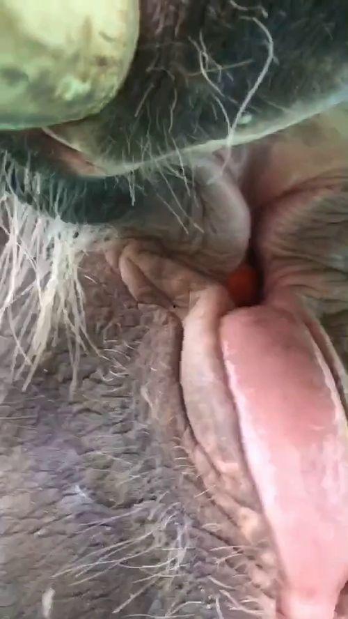 腺象体手术后可以吃瓜吗,瓜类食物的适宜摄入时间  第1张