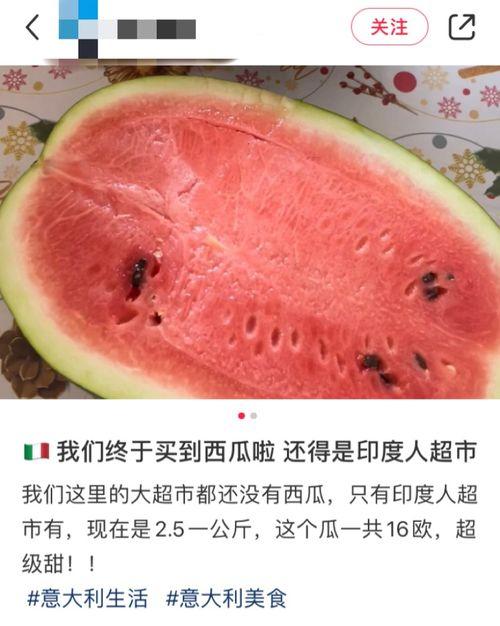 外国人吃瓜好吗 第3张 外国人吃瓜好吗 第3张