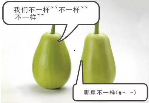 安缘吃瓜,揭秘娱乐圈背后的那些事儿  第2张