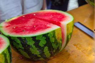 吃瓜杭州大学,揭秘杭州大学生的“吃瓜”生活 第1张 吃瓜杭州大学,揭秘杭州大学生的“吃瓜”生活 第1张