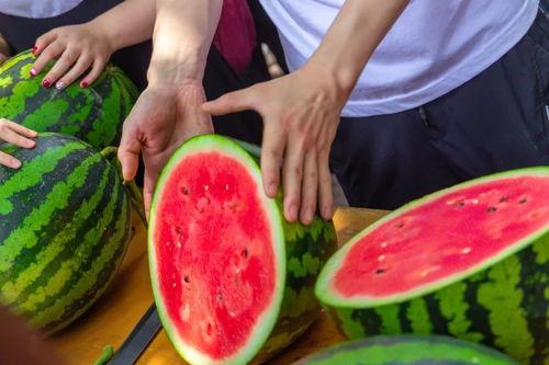 吃瓜杭州大学,揭秘杭州大学生的“吃瓜”生活 第2张 吃瓜杭州大学,揭秘杭州大学生的“吃瓜”生活 第2张