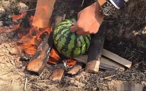 瓜哥吃瓜奇葩物品图片高清,揭秘那些令人瞠目结舌的吃瓜神器  第2张