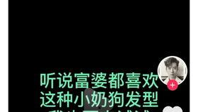 吃瓜沙雕语录,笑料百出，欢乐无限  第1张