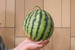 沙沙吃瓜,揭秘娱乐圈幕后故事