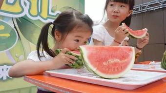 吃瓜比赛参赛人员,吃瓜比赛参赛人员大揭秘!” 第3张 吃瓜比赛参赛人员,吃瓜比赛参赛人员大揭秘!” 第3张