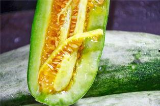 吃瓜的心,揭秘吃瓜群众背后的心理世界  第1张