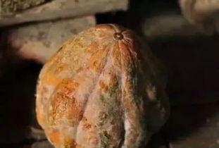 吃付瓜易得癌,警惕日常饮食中的健康隐患