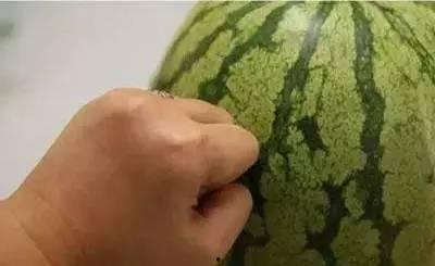 梦见吃西瓜分瓜,揭秘吃西瓜分瓜的寓意与象征 第3张 梦见吃西瓜分瓜,揭秘吃西瓜分瓜的寓意与象征 第3张