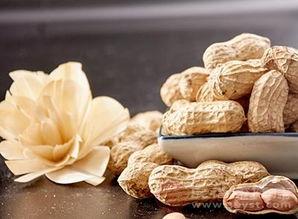 石墨生花吃瓜 第2张 石墨生花吃瓜 第2张