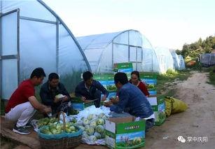 乌海的吃瓜群众