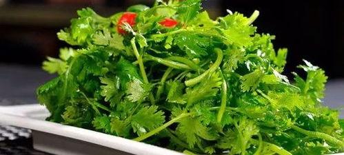 香菜很会吃的瓜,舌尖上的美味探险  第1张