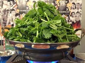 香菜很会吃的瓜,舌尖上的美味探险  第2张