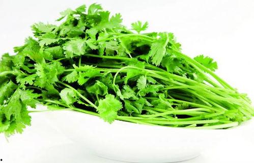 香菜很会吃的瓜,舌尖上的美味探险  第3张