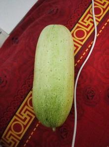 鲁丫吃瓜,揭秘娱乐圈那些不为人知的幕后故事  第2张