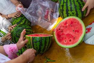 俱乐部吃瓜视频,揭秘娱乐圈幕后风云  第3张