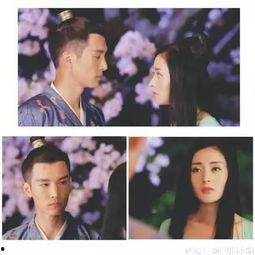 太子妃在线吃瓜,揭秘宫廷秘闻 第3张 太子妃在线吃瓜,揭秘宫廷秘闻 第3张