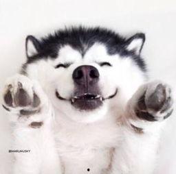 吃瓜刺激视频大全  第2张