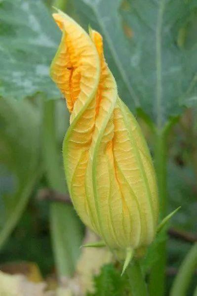 小柒柒吃瓜,揭秘娱乐圈那些不为人知的幕后故事  第3张