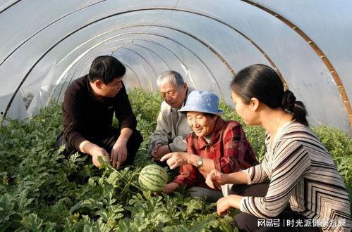 吃瓜奶奶安,揭秘网络红人的魅力与影响力