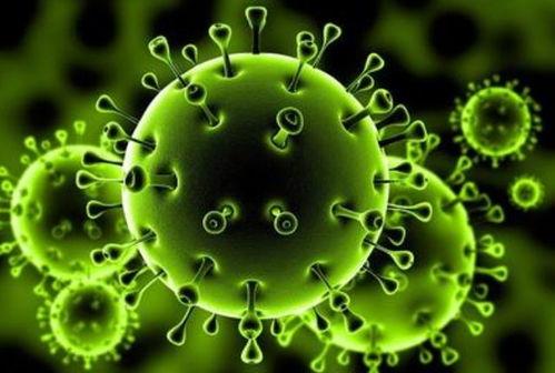 朊病毒警告 吃瓜,吃瓜需谨慎，健康生活从自我防护开始  第3张