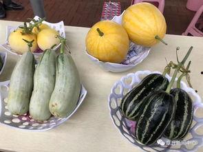 台湾地区吃瓜  第3张