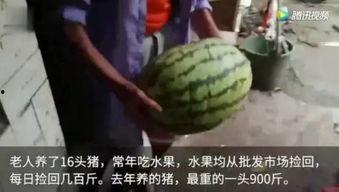 网上的吃瓜视频,揭秘娱乐圈幕后真相
