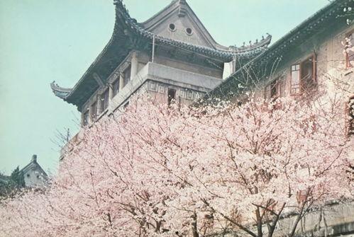 武汉大学辅导员骚扰吃瓜